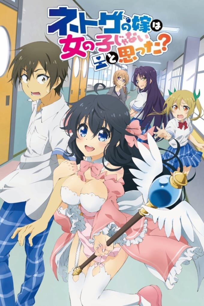 Assistir Netoge no Yome wa Onnanoko ja Nai to Omotta? (And you thought there is never a girl online?) Online